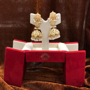 Stylish Tassel Earrings