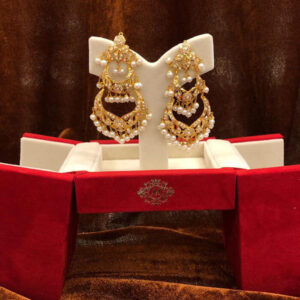 Sophisticated Ear Rings