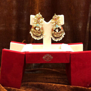 Elegant Earings